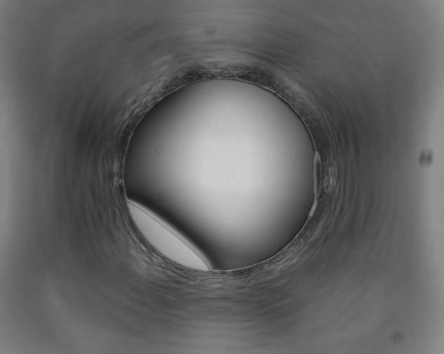 X0000093121108200709261008