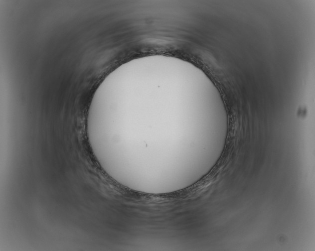 X0000093121109200709261008
