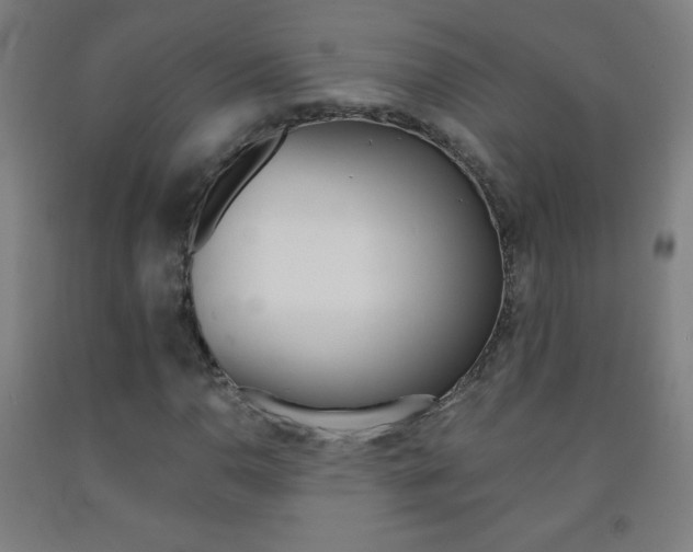 X0000093121110200709261008