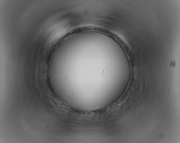 X0000093121111200709261008