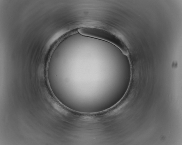 X0000093121114200709261008