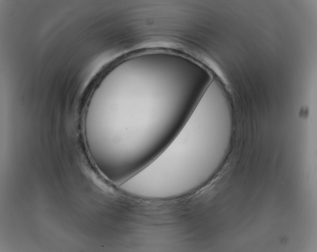 X0000093121116200709261008