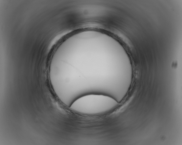 X0000093121117200709261008