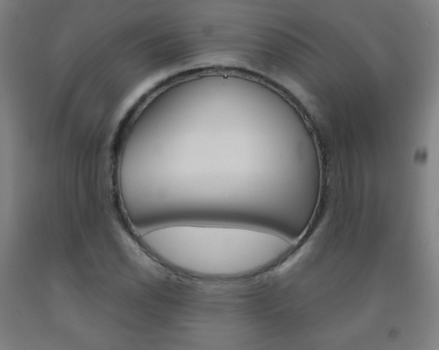 X0000093121118200709261008