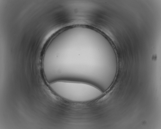 X0000093121119200709261008