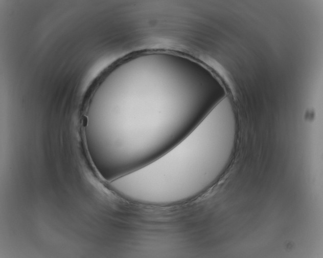 X0000093121120200709261008