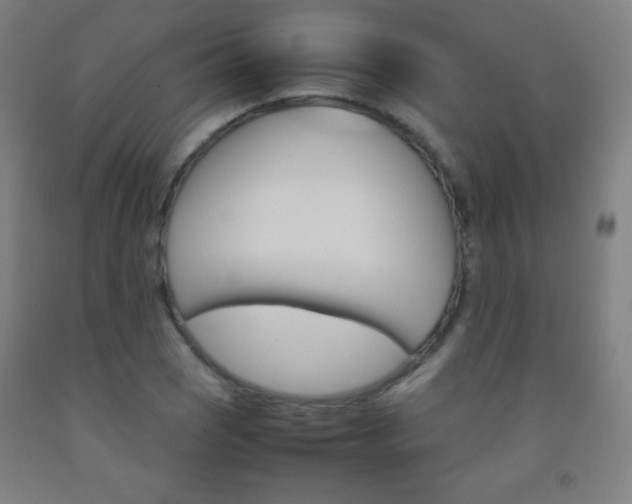 X0000093121121200709261008