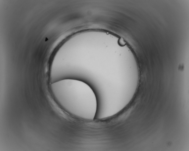 X0000093121126200709261008
