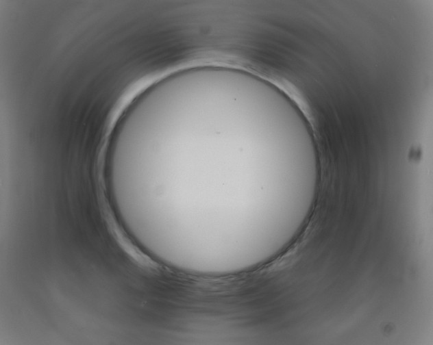 X0000093121128200709261008