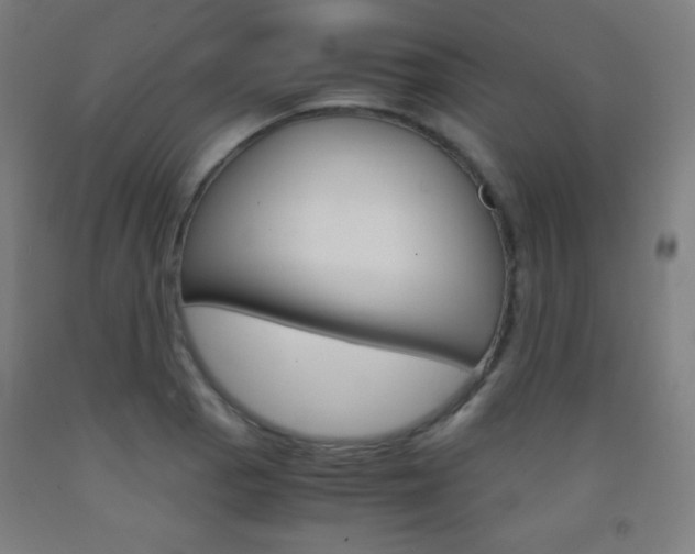 X0000093121129200709261008