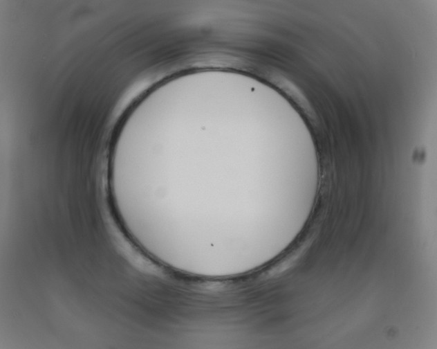 X0000093121130200709261008