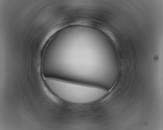 X0000093121131200709261008