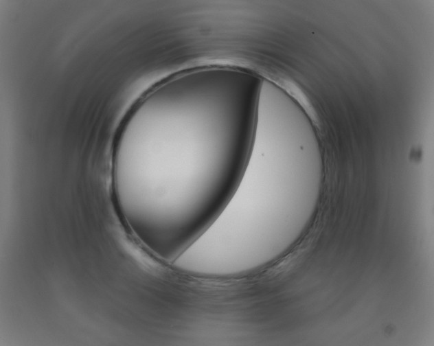 X0000093121132200709261008