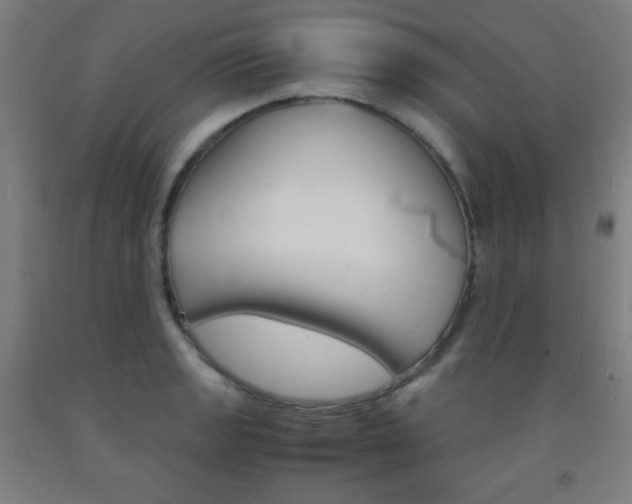 X0000093121133200709261008
