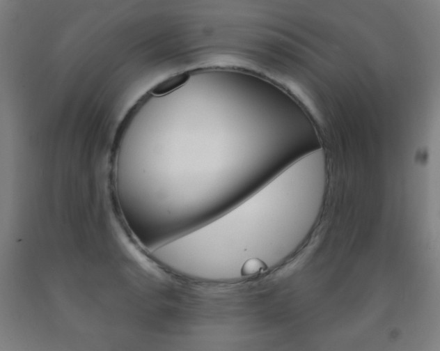 X0000093121134200709261008