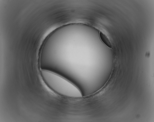X0000093121135200709261008