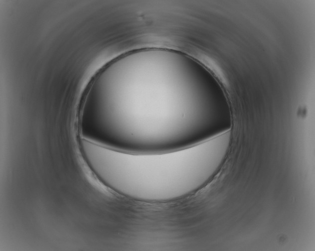 X0000093121136200709261008