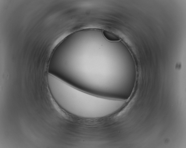 X0000093121137200709261008