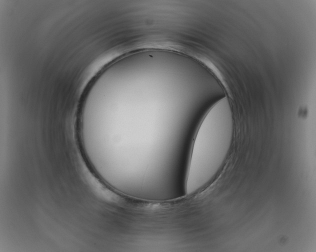 X0000093121139200709261008