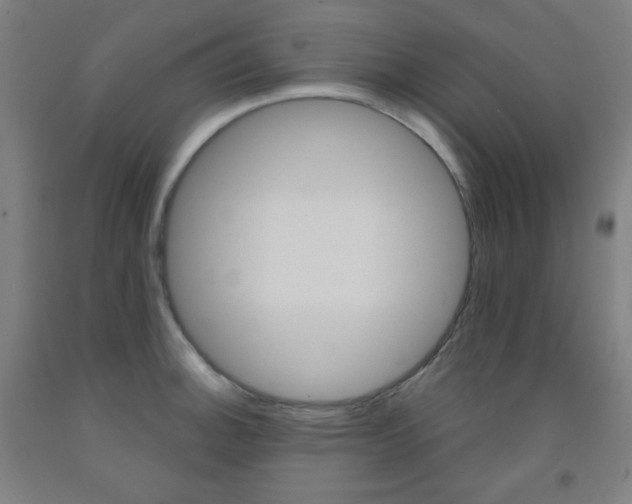 X0000093121140200709261008