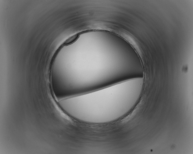 X0000093121141200709261008