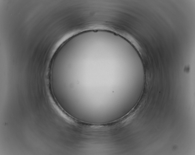 X0000093121142200709261008