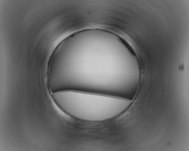 X0000093121143200709261008