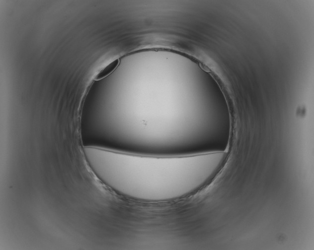 X0000093121145200709261008