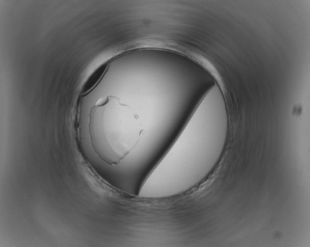 X0000093121146200709261008
