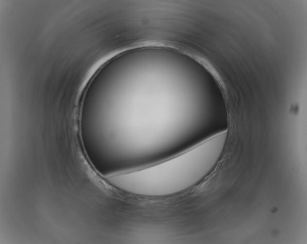 X0000093121148200709261008