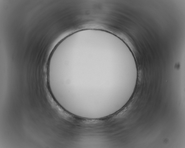 X0000093121150200709261008