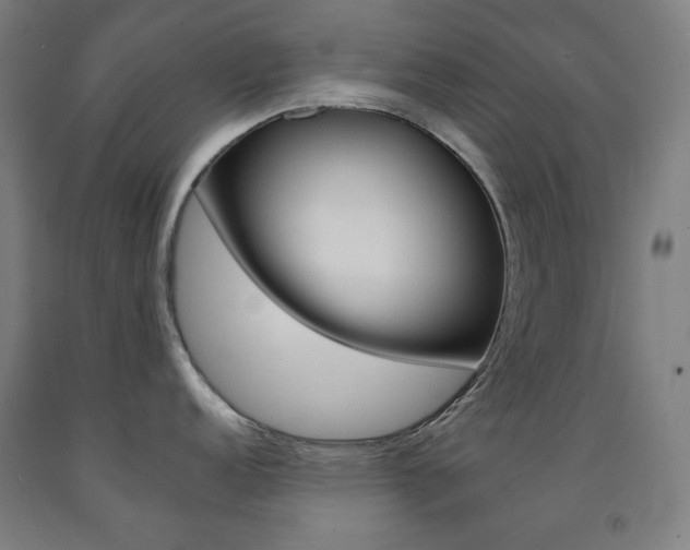 X0000093121152200709261008