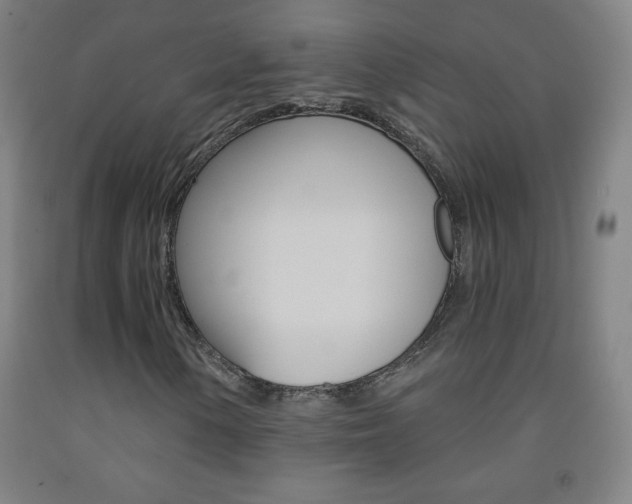 X0000093121154200709261008