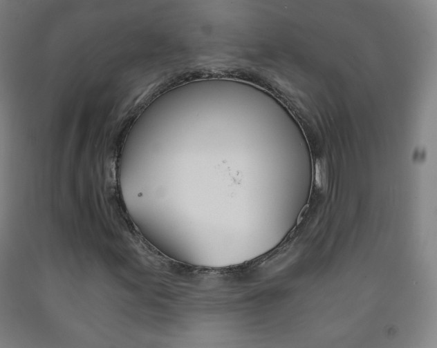 X0000093121155200709261008