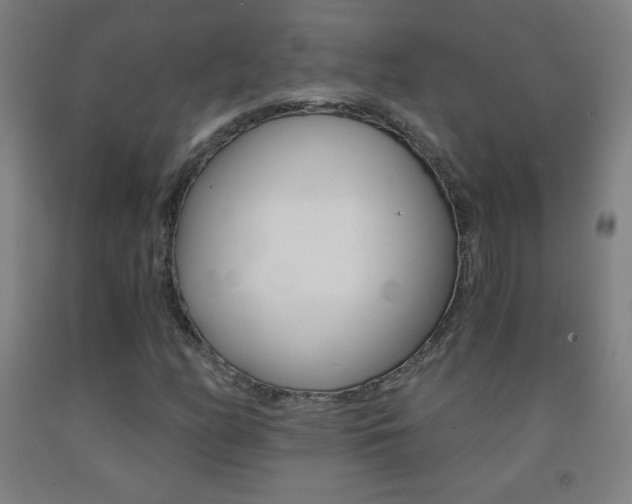 X0000093121158200709261008