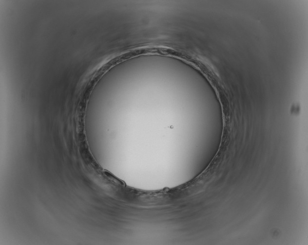 X0000093121159200709261008