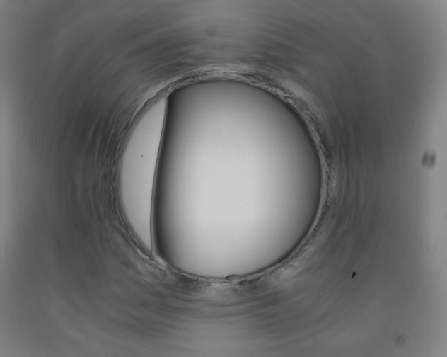 X0000093121161200709261008