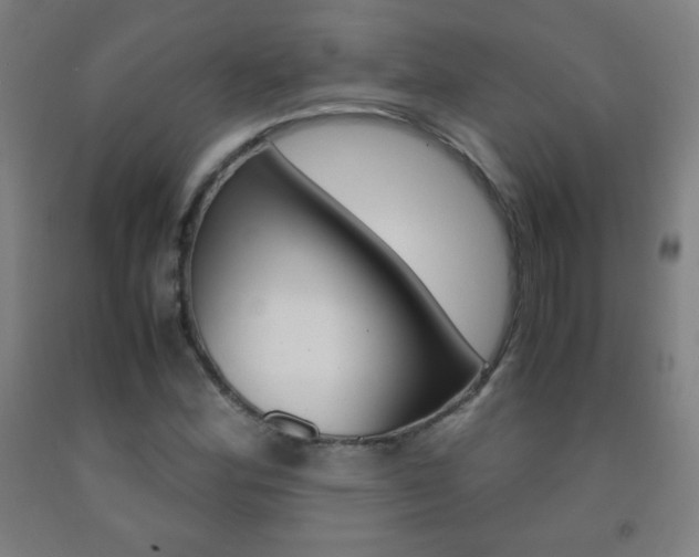 X0000093121164200709261008