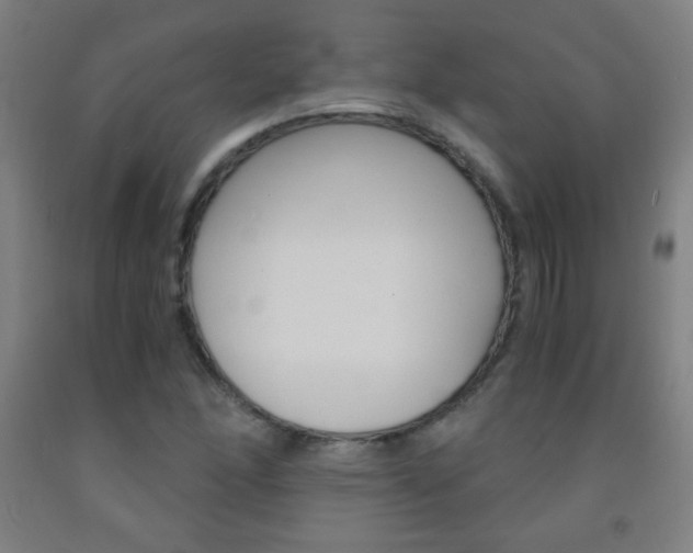 X0000093121166200709261008
