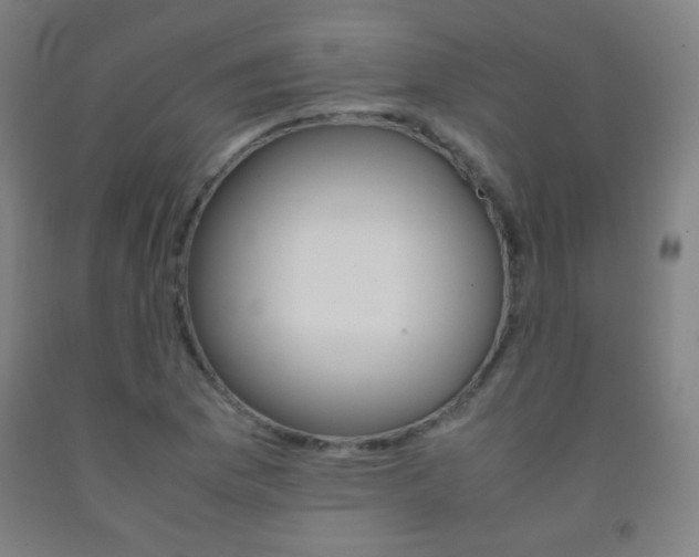 X0000093121169200709261008