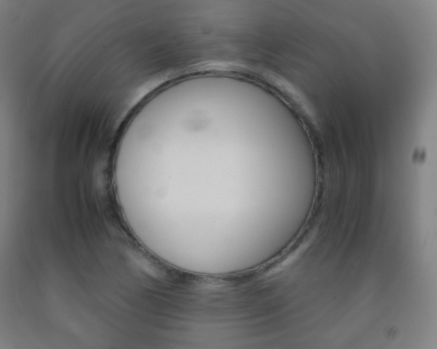 X0000093121170200709261008