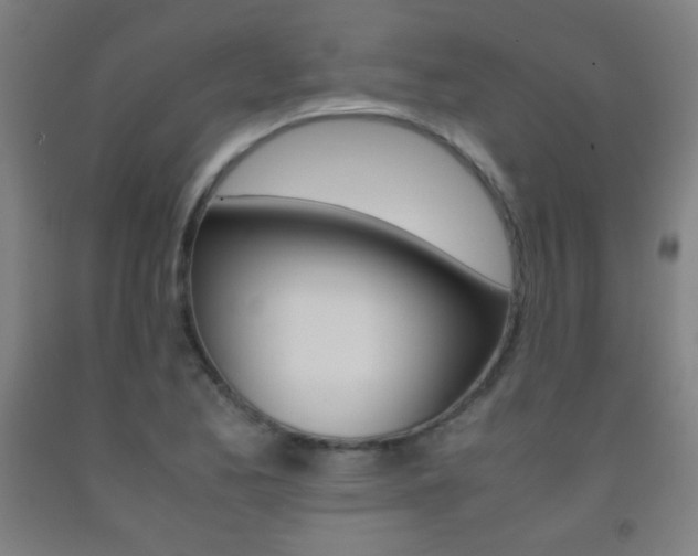 X0000093121173200709261008
