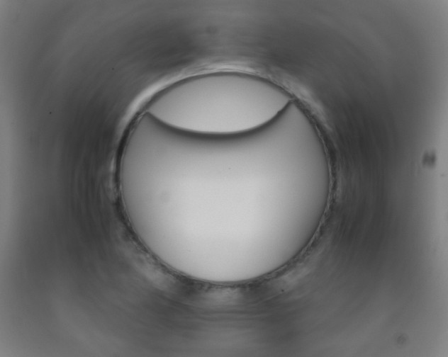 X0000093121174200709261008