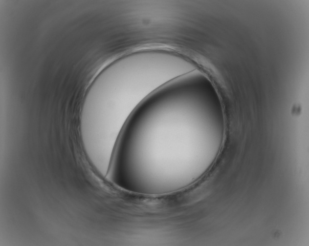 X0000093121177200709261007
