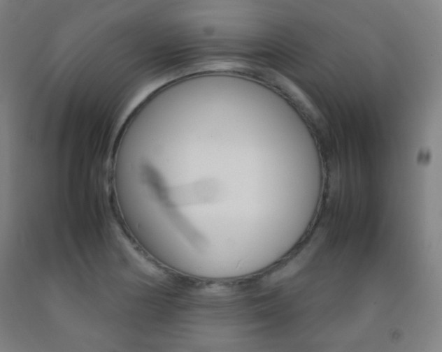 X0000093121178200709261007