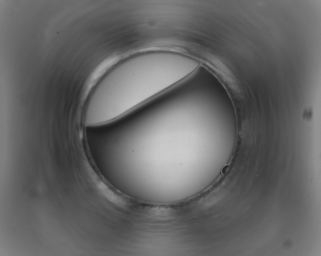 X0000093121180200709261007