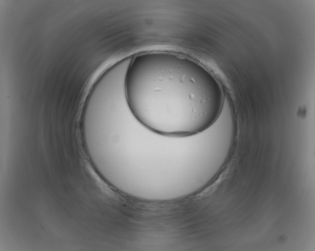 X0000093121181200709261007