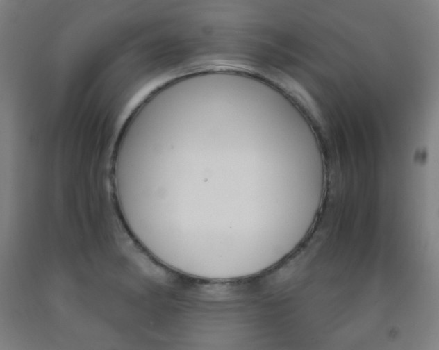 X0000093121182200709261007