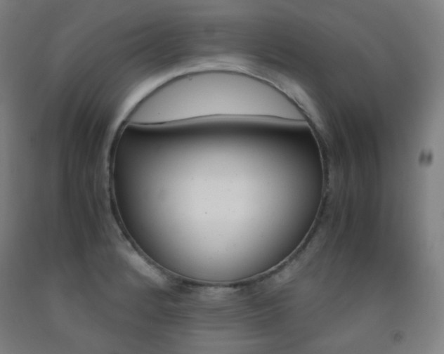 X0000093121184200709261007