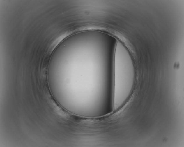 X0000093121185200709261007